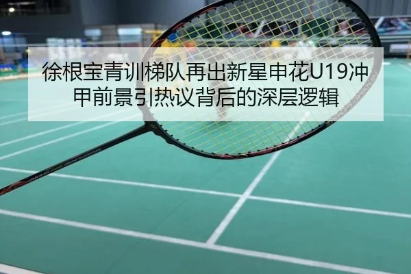 徐根宝青训梯队再出新星申花U19冲甲前景引热议背后的深层逻辑
